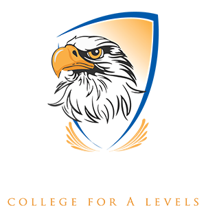 rayden.jpglogo